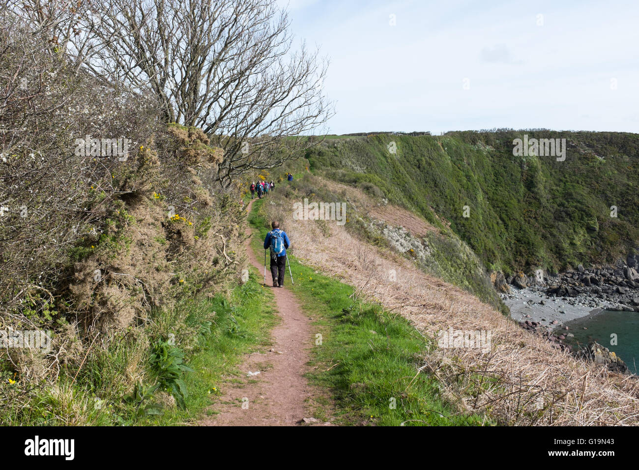 Ramblers on the Pembrokeshire Coastal Path near Milford Haven Stock Photo