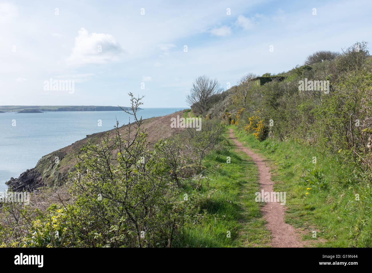 Pembrokeshire Coastal Path near Milford Haven Stock Photo