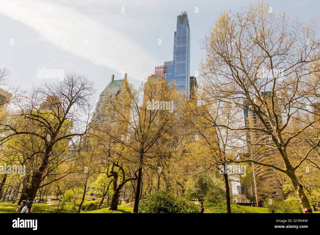 New york green grass hi-res stock photography and images - Alamy