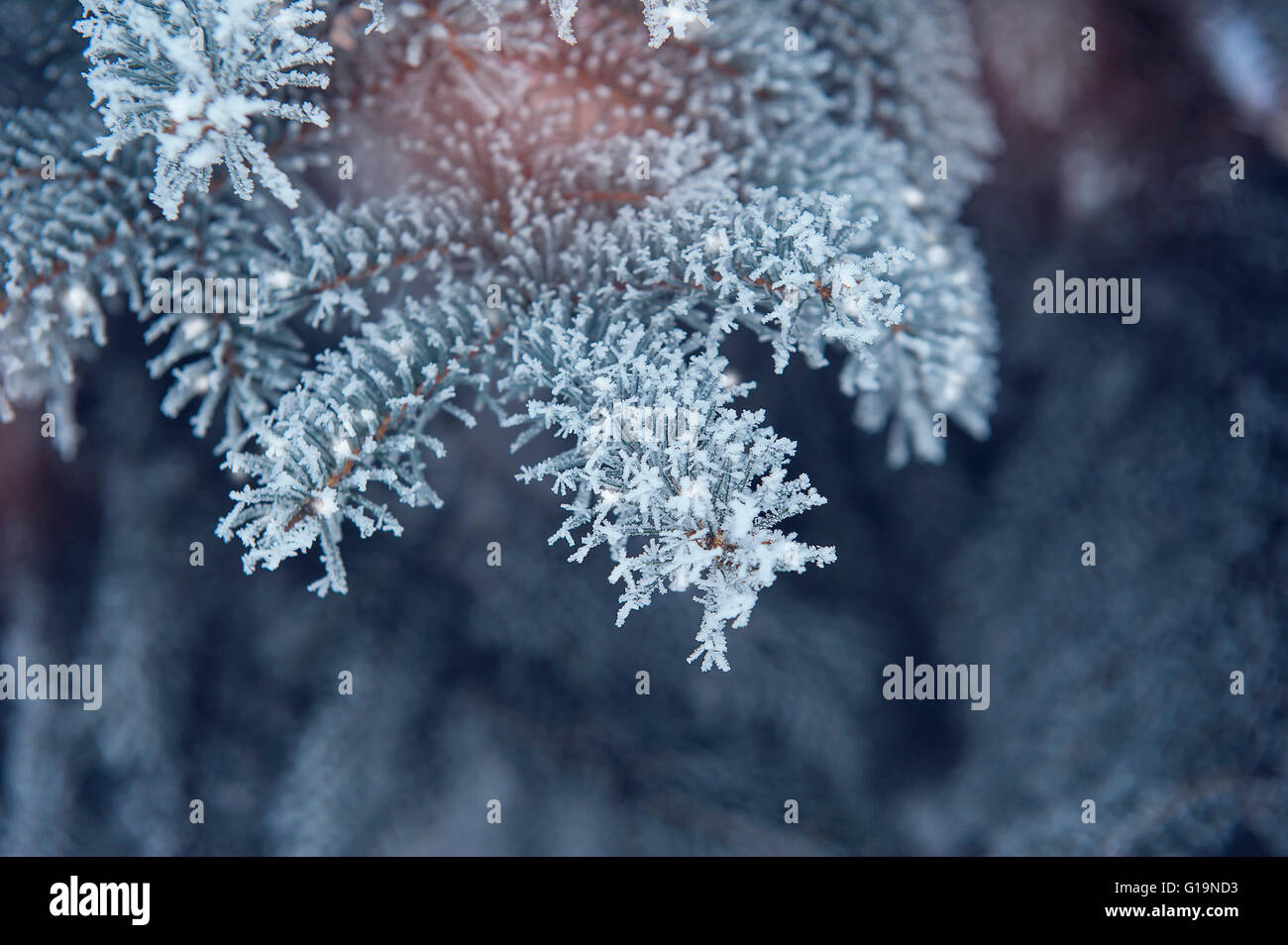 Snowfall background hi-res stock photography and images - Alamy