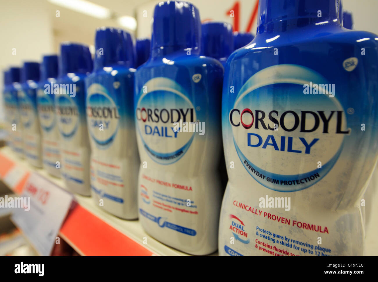 Candida albicans hires stock photography and images Alamy