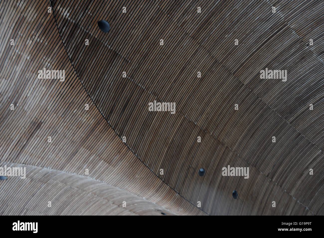 National Welsh Assembly, Cardiff bay - United Kingdom Stock Photo