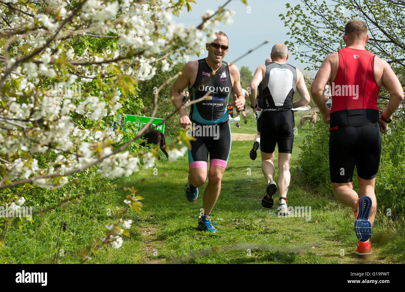 Grass runners hires stock photography and images Alamy