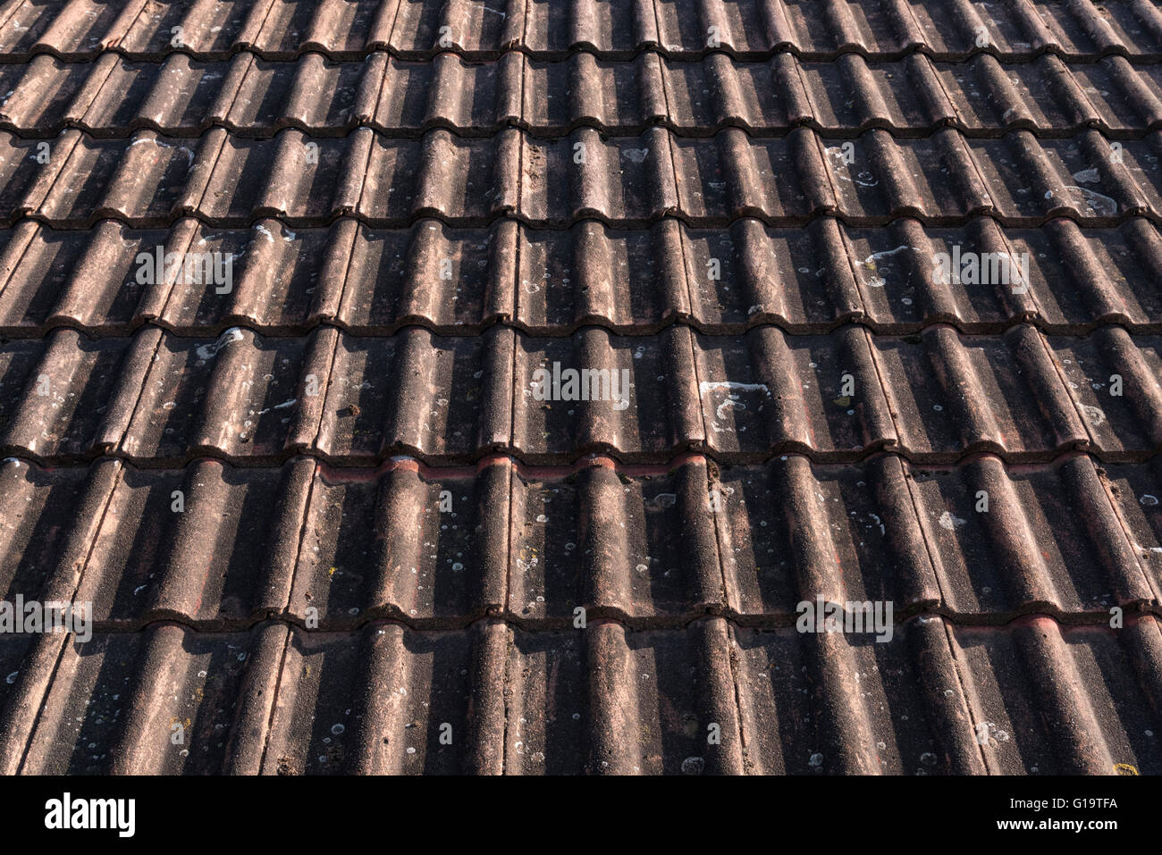 House roof tiles. Stock Photo