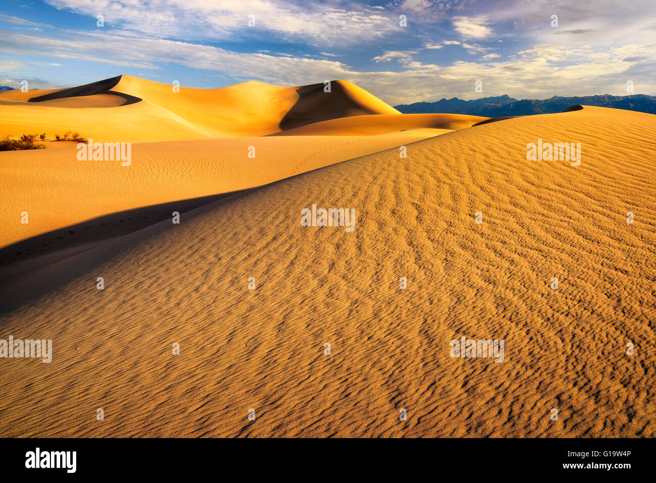 Sand dunes in the sahara desert at sunrise hi-res stock photography and ...