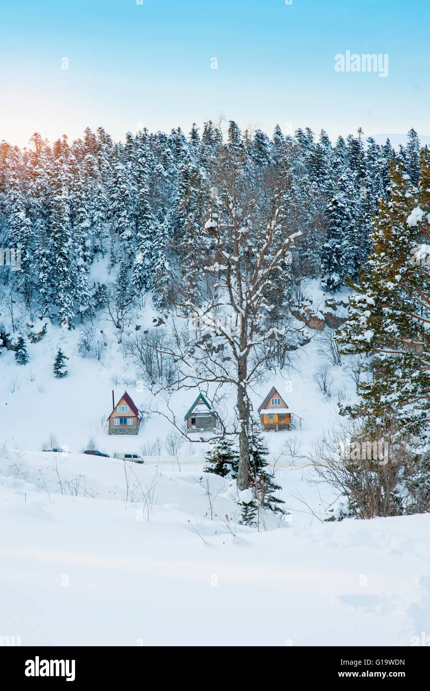 wooden house in winter forest Stock Photo - Alamy
