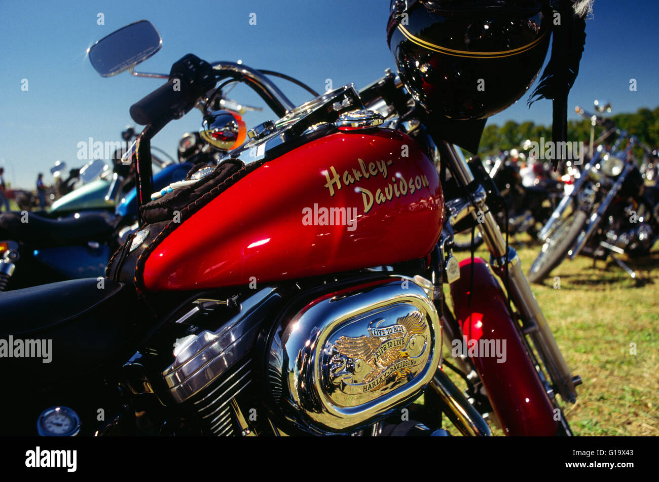 motor harley davidson bike