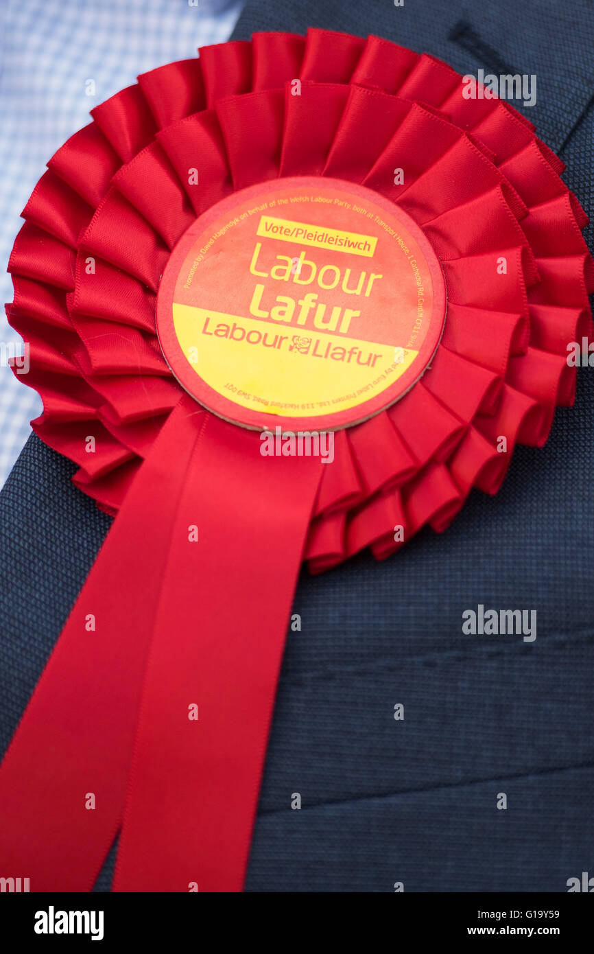 Red Welsh Labour rosette worn by a Welsh Labour party activist. Stock Photo