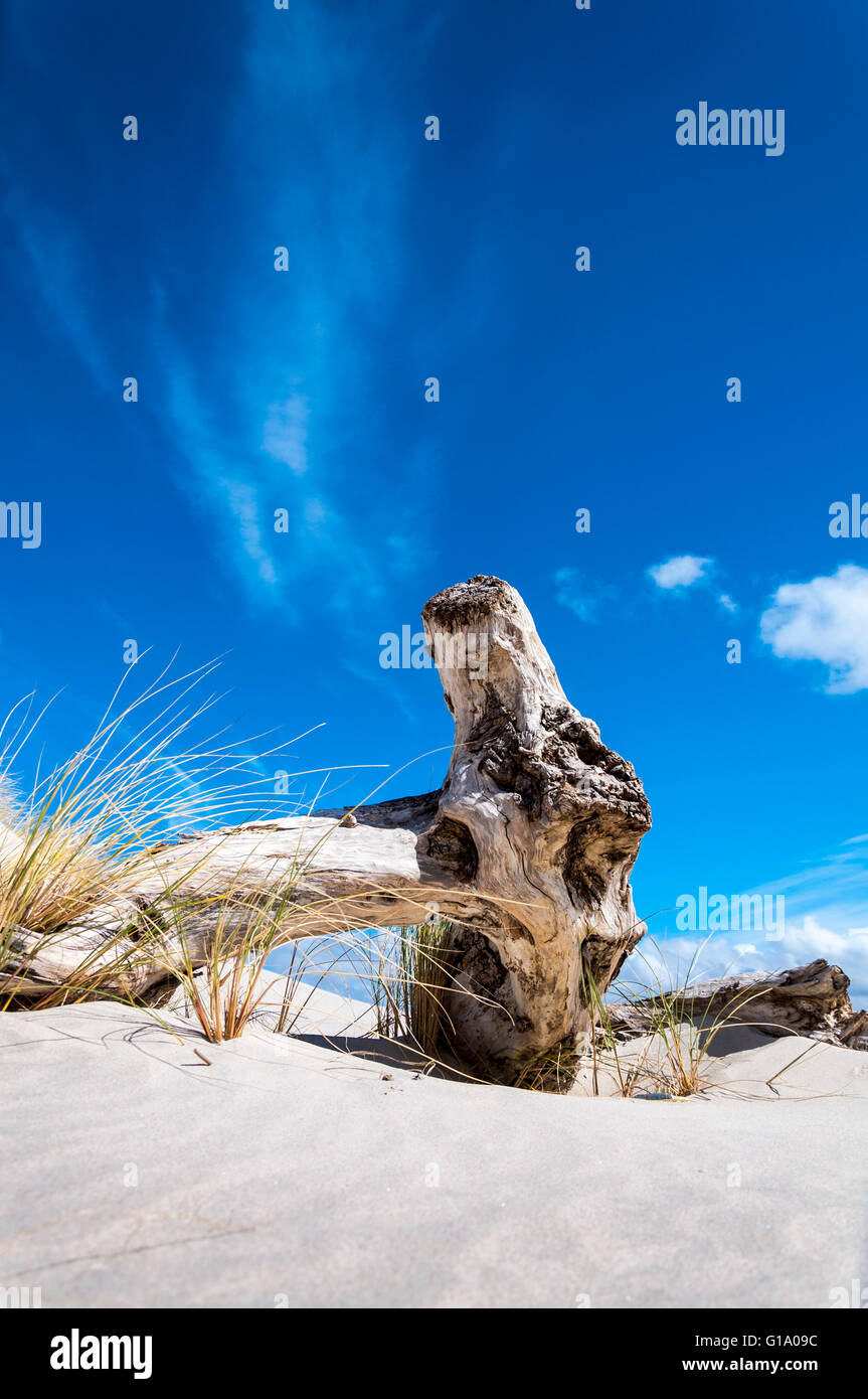 Weathered wood on deserted empty beach on Loughros Point, Ardara, County Donegal, Ireland Stock Photo