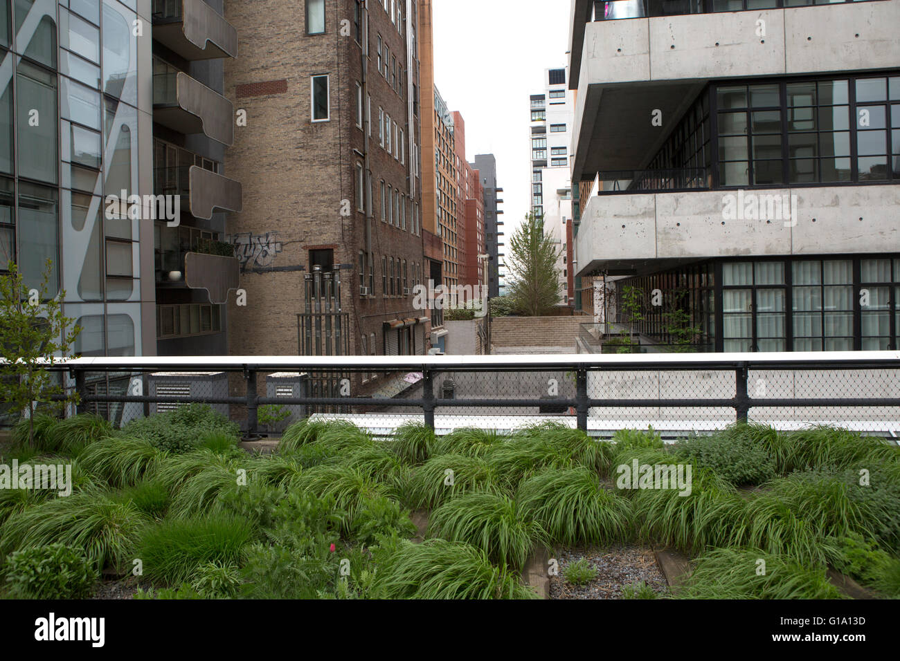 Plants grow on the High Line in New York City, USA Stock Photo Alamy