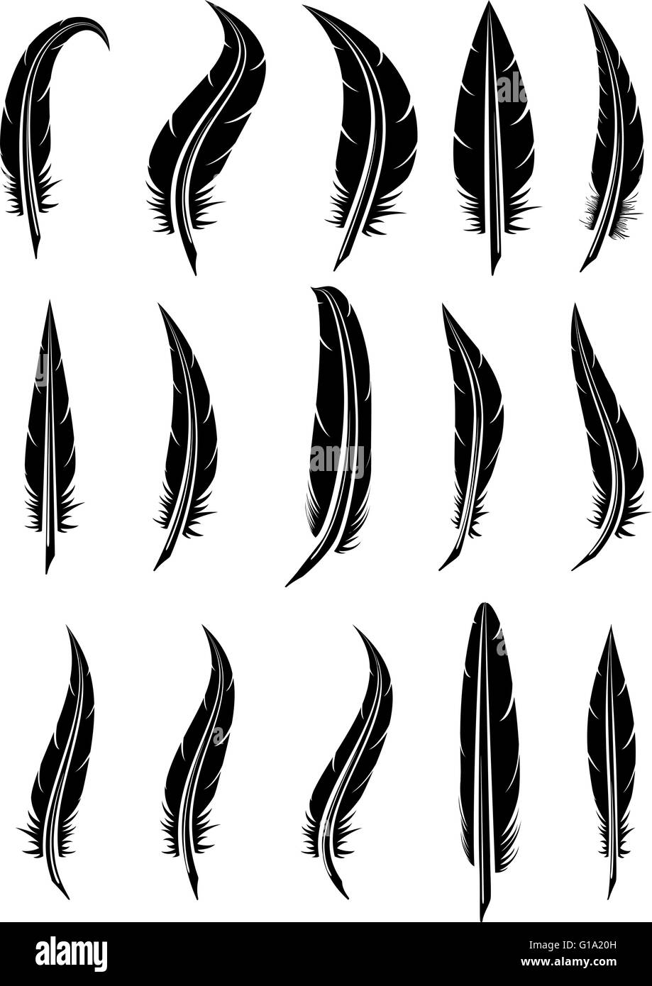 vector set of black and white feathers Stock Vector Image & Art - Alamy