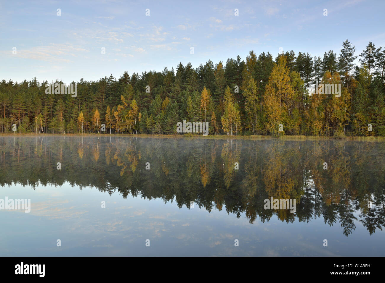 Shore forest lake in hi-res stock photography and images - Alamy