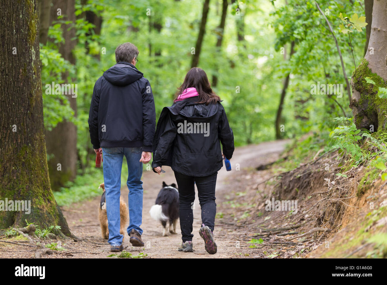 Couple walking their two dogs in forest Stock Photo - Alamy