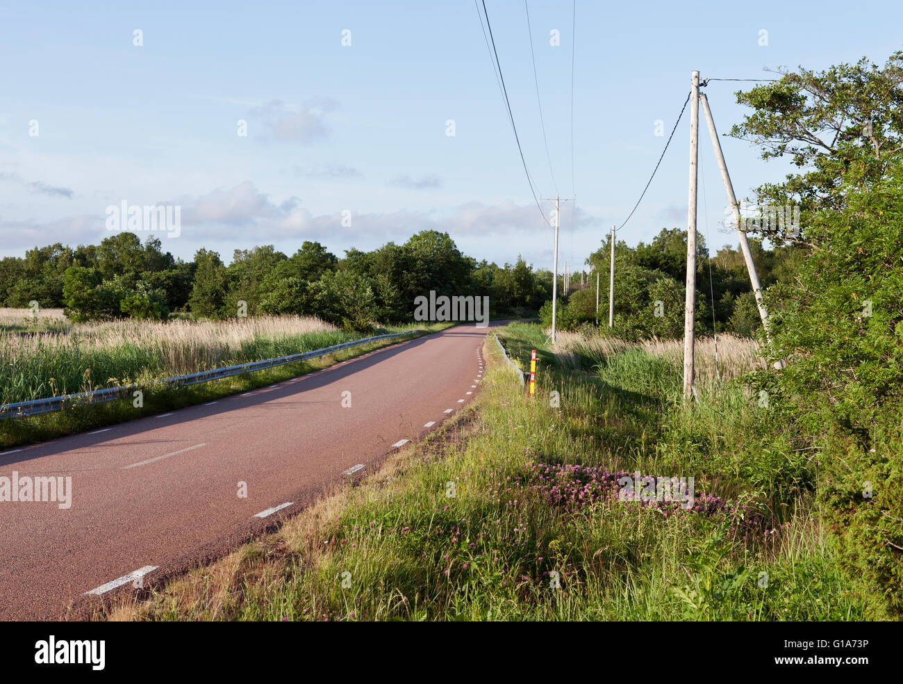 Country road, red colored asphalt and electrical lines. Vegetation both