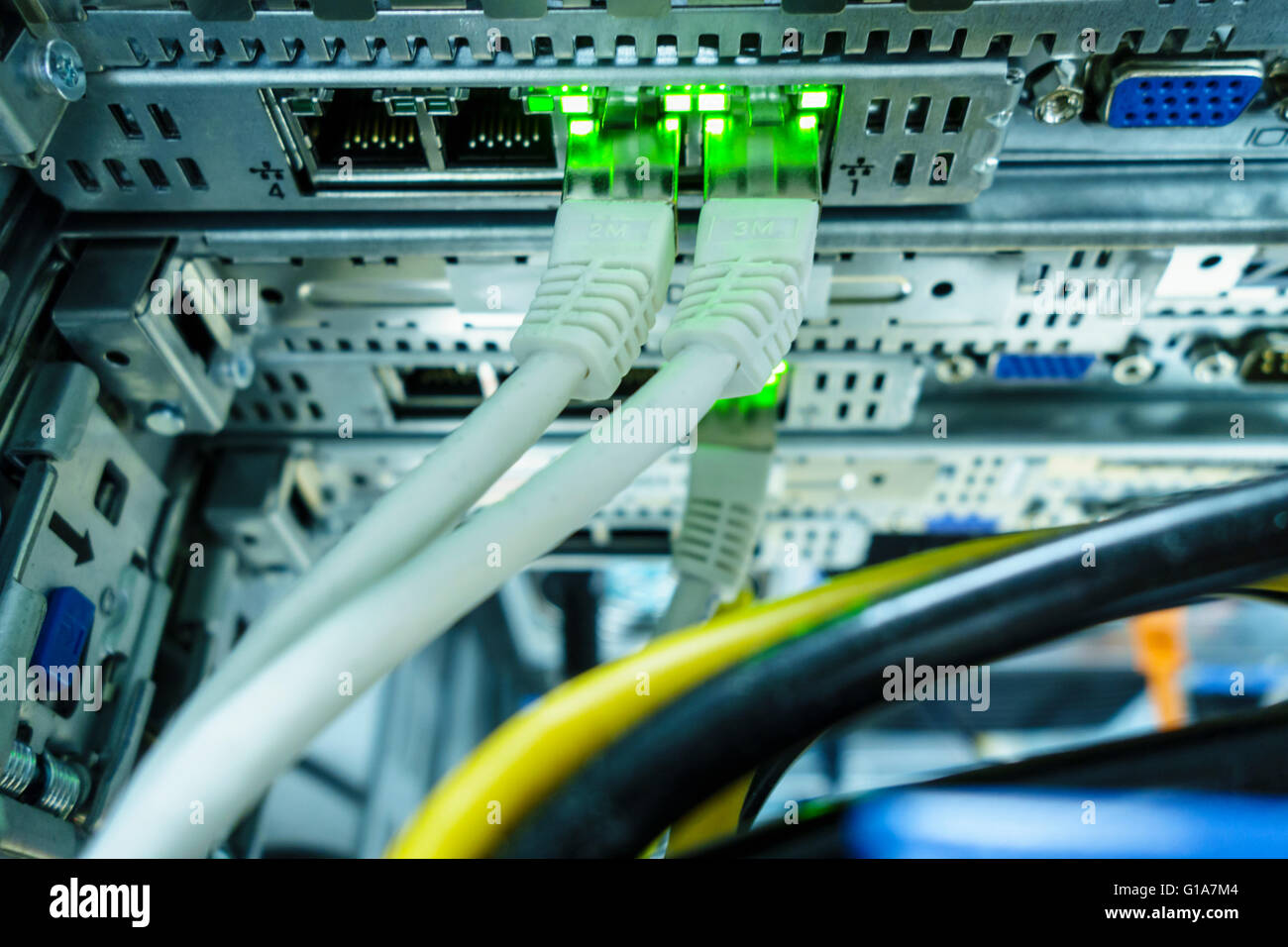 a network server Stock Photo Alamy