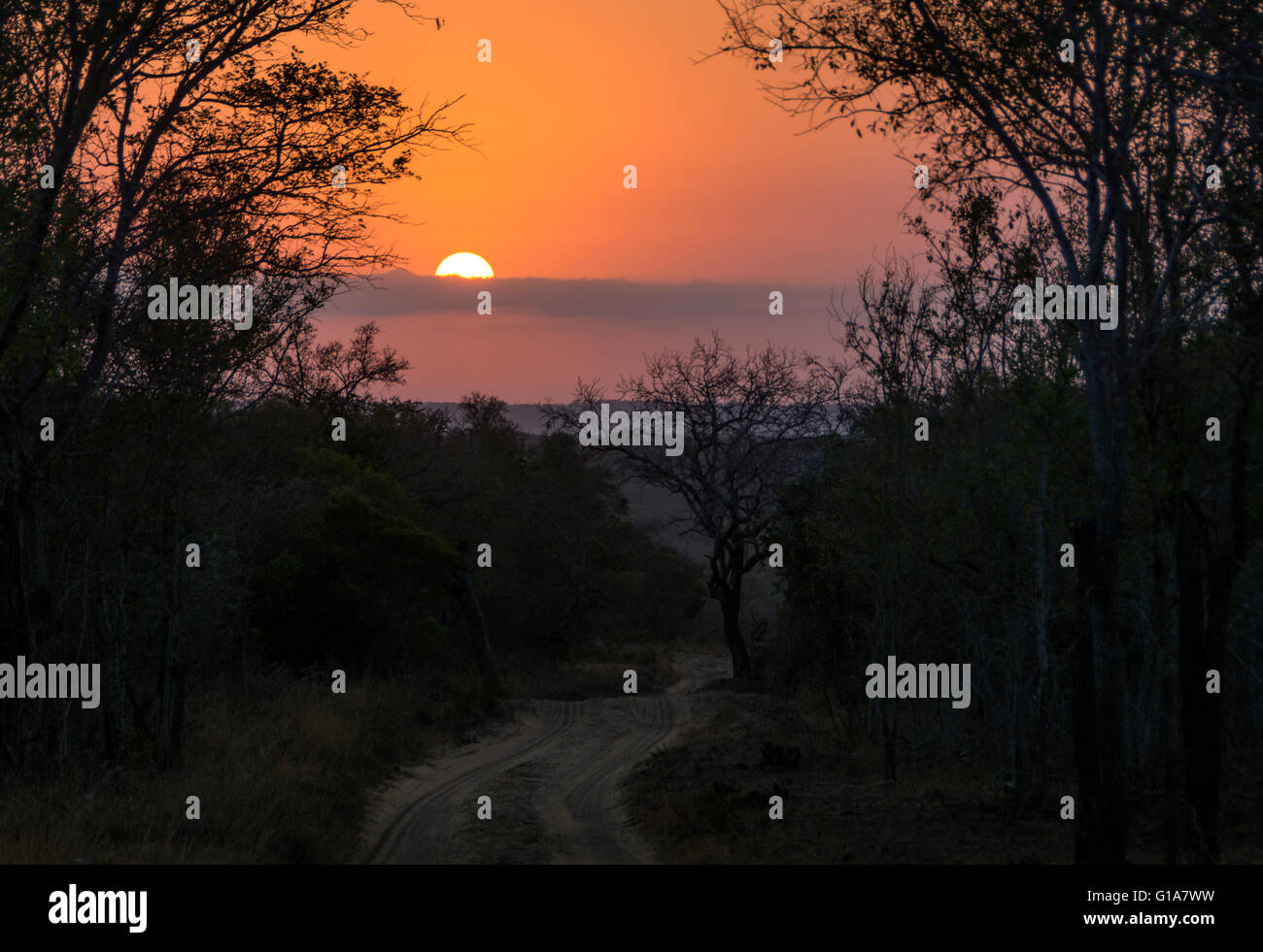 Bush sunrise hi-res stock photography and images - Alamy