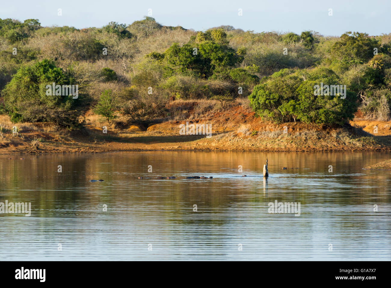 Waterhole, KwaZulu Natal, South Africa Stock Photo - Alamy