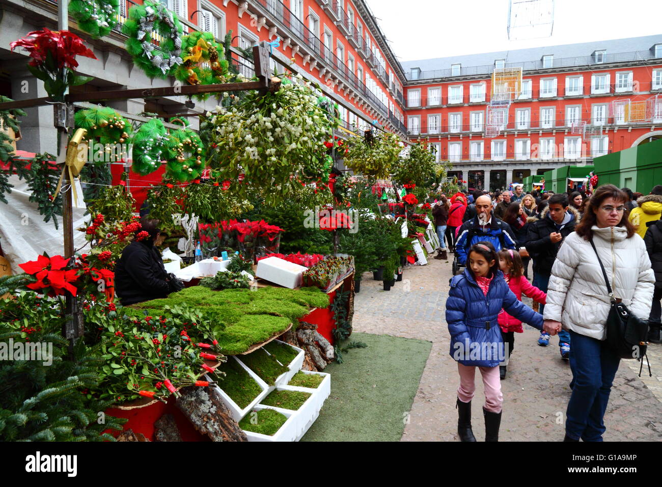 Stall selling holly, mistletoe, decorations and items for making nativity scenes in Christmas market, Plaza Mayor, Madrid, Spain Stock Photo