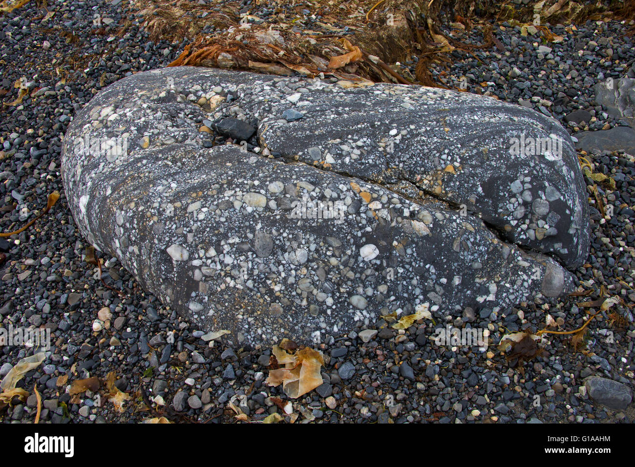 Rock formation on shingle beach along Gashamna / Goose Bay, Hornsund, Svalbard / Spitsbergen, Norway Stock Photo