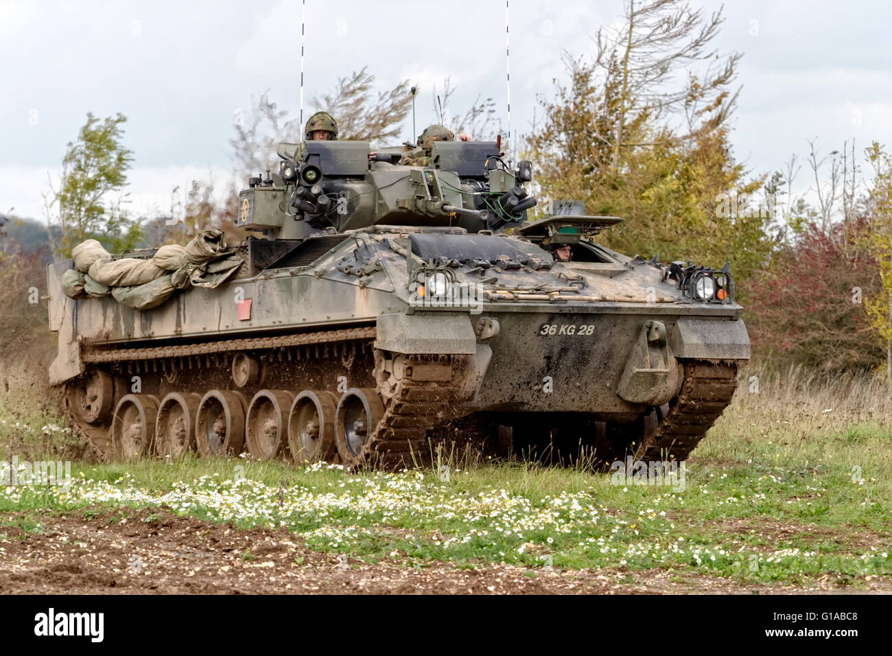 A British Army Warrior Infantry Fighting Vehicle, MCV-80, on the Salisbury Plain military Training Area in Wiltshire, UK. Stock Photo