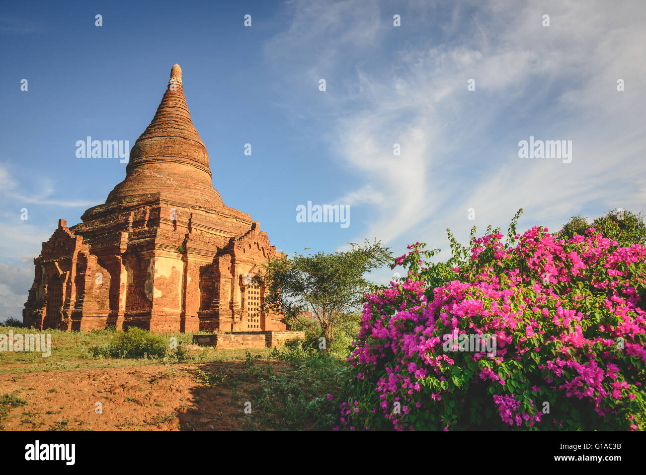 Bagan temples in Myanmar Stock Photo