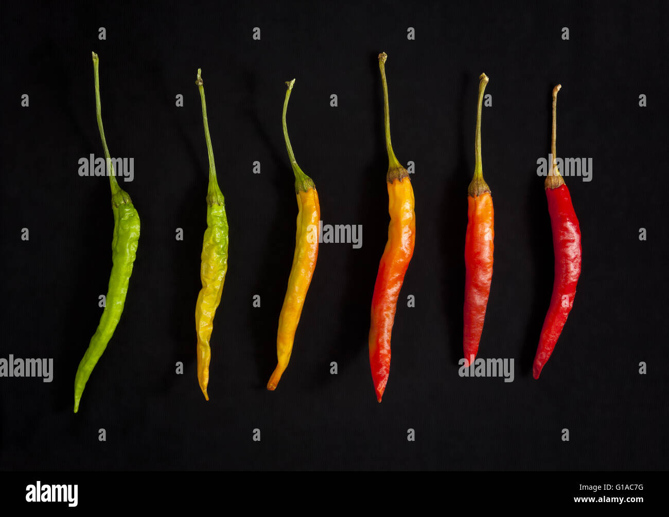 Red hot chili peppers tied hi-res stock photography and images - Alamy