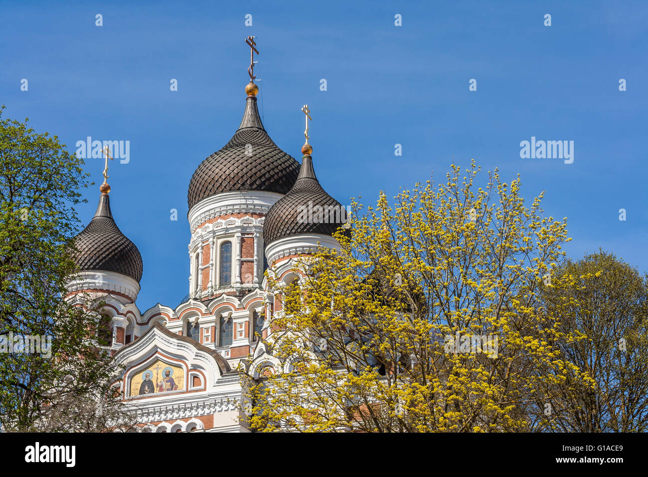Alexander Nevsky Cathedral In Springtime Stock Photo