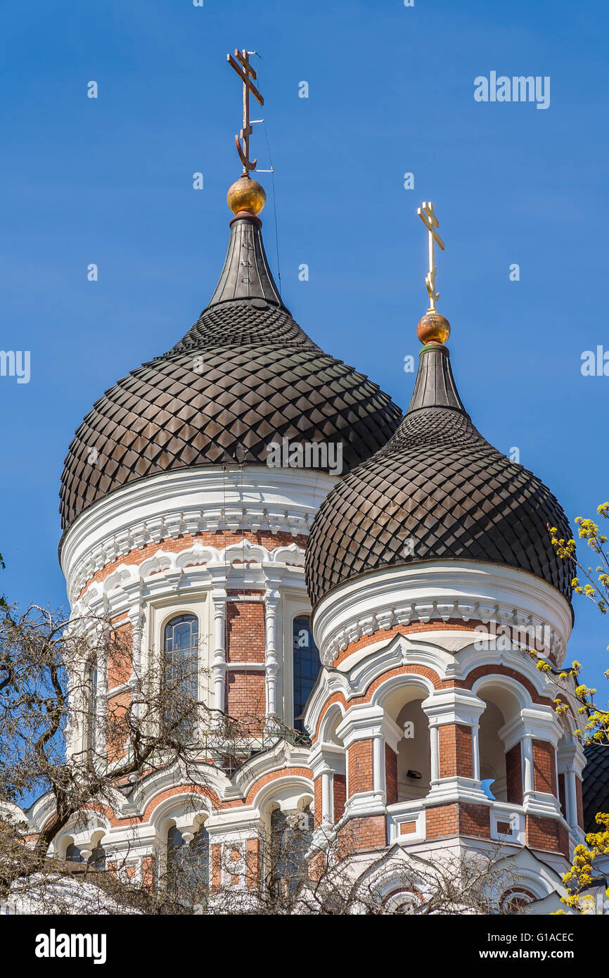 Alexander Nevsky Cathedral Stock Photo