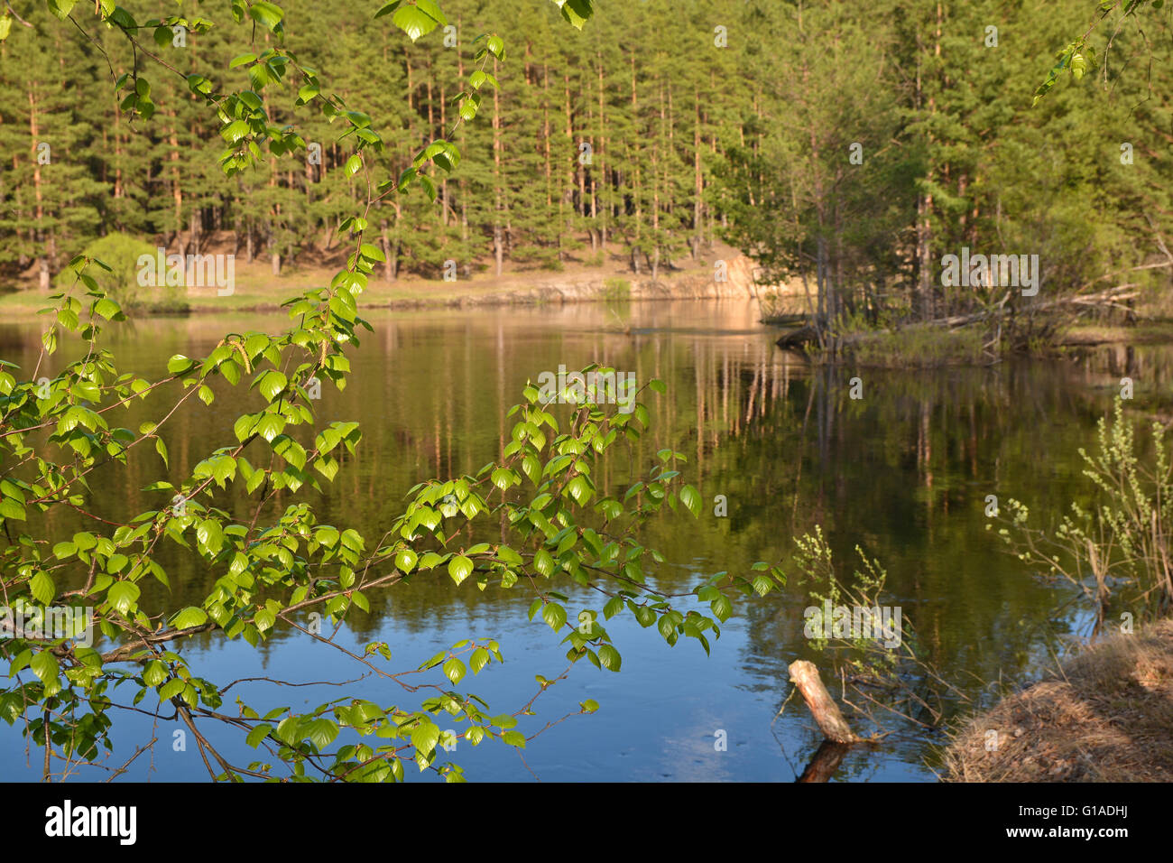 Spring on the river. Spring landscape on the river in the National Park ...