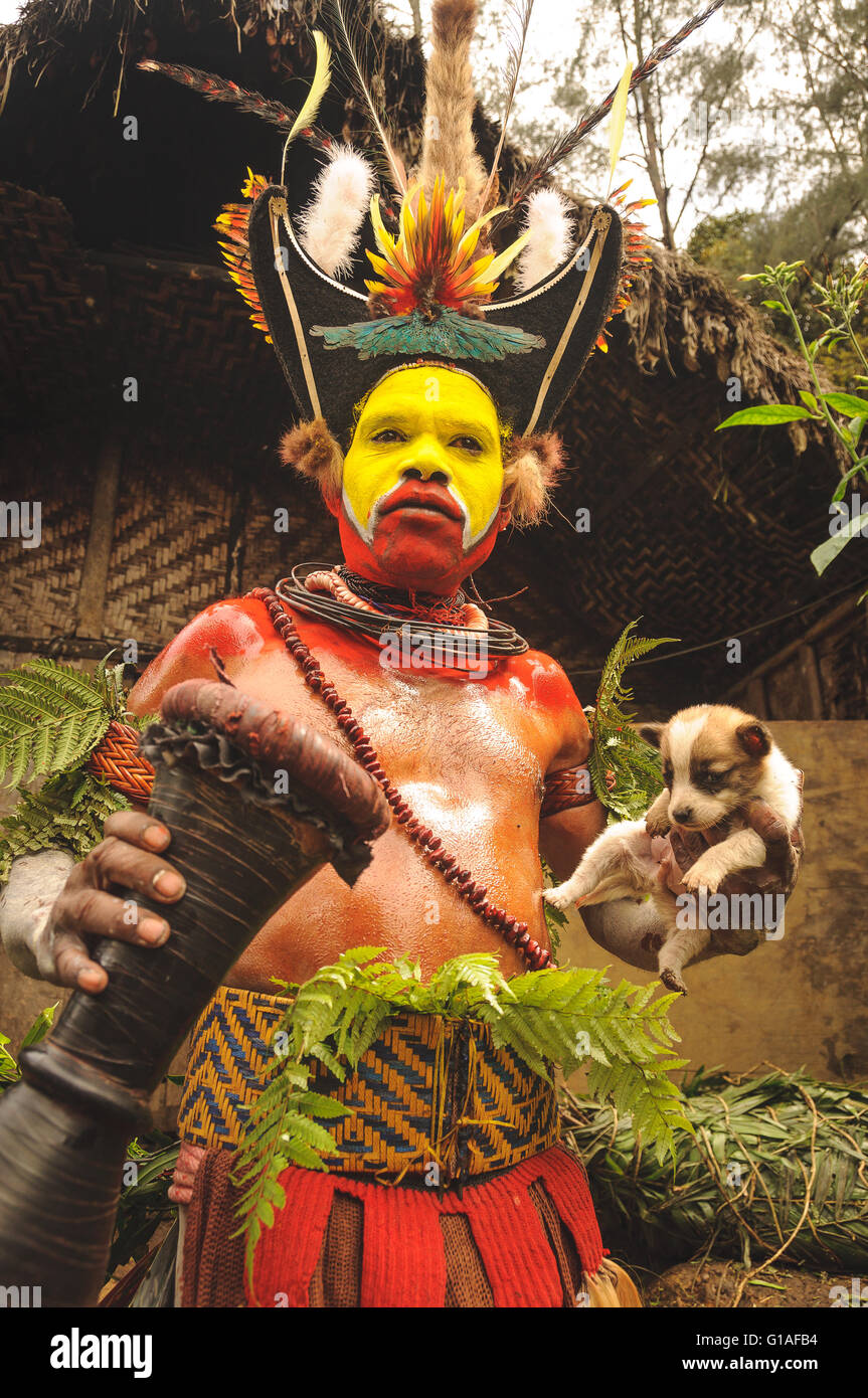 The Huli Wigmen Tribe attending the Piaya Village Sing Sing near Mt Hagen in Papua New Guinea Stock Photo