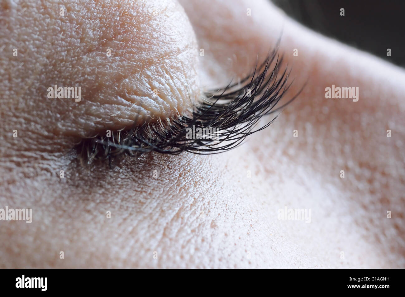 Closed eye macro black hi-res stock photography and images - Alamy