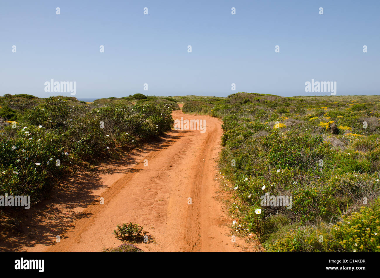 Empty dirt track with red soil in Portugal Stock Photo