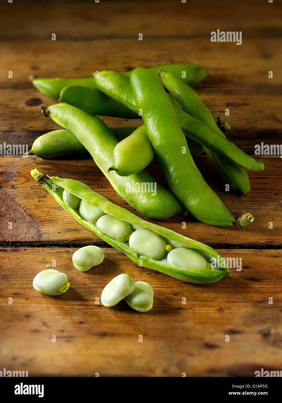 Fresh picked broad beans in pods Stock Photo