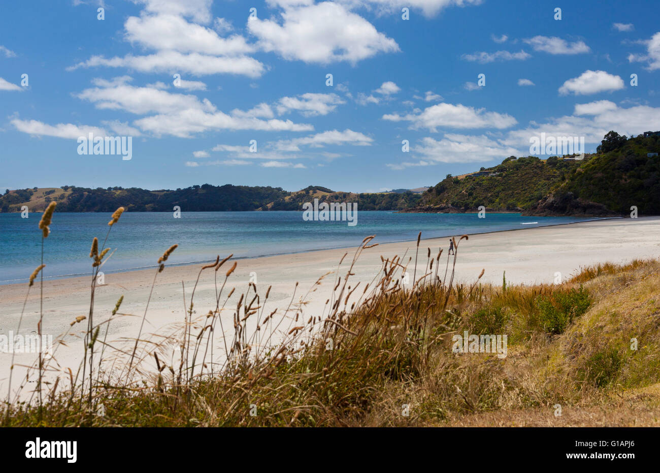 Oretangi Beach at Waiheke Island off Auckland, New Zealand Stock Photo