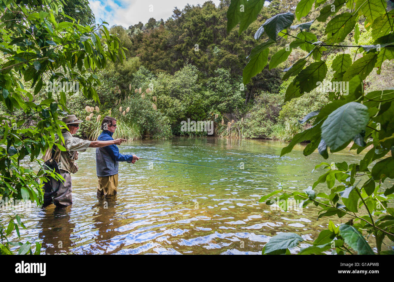 Tourists fly fishing with fishing guide in Lake Taupo area stream in