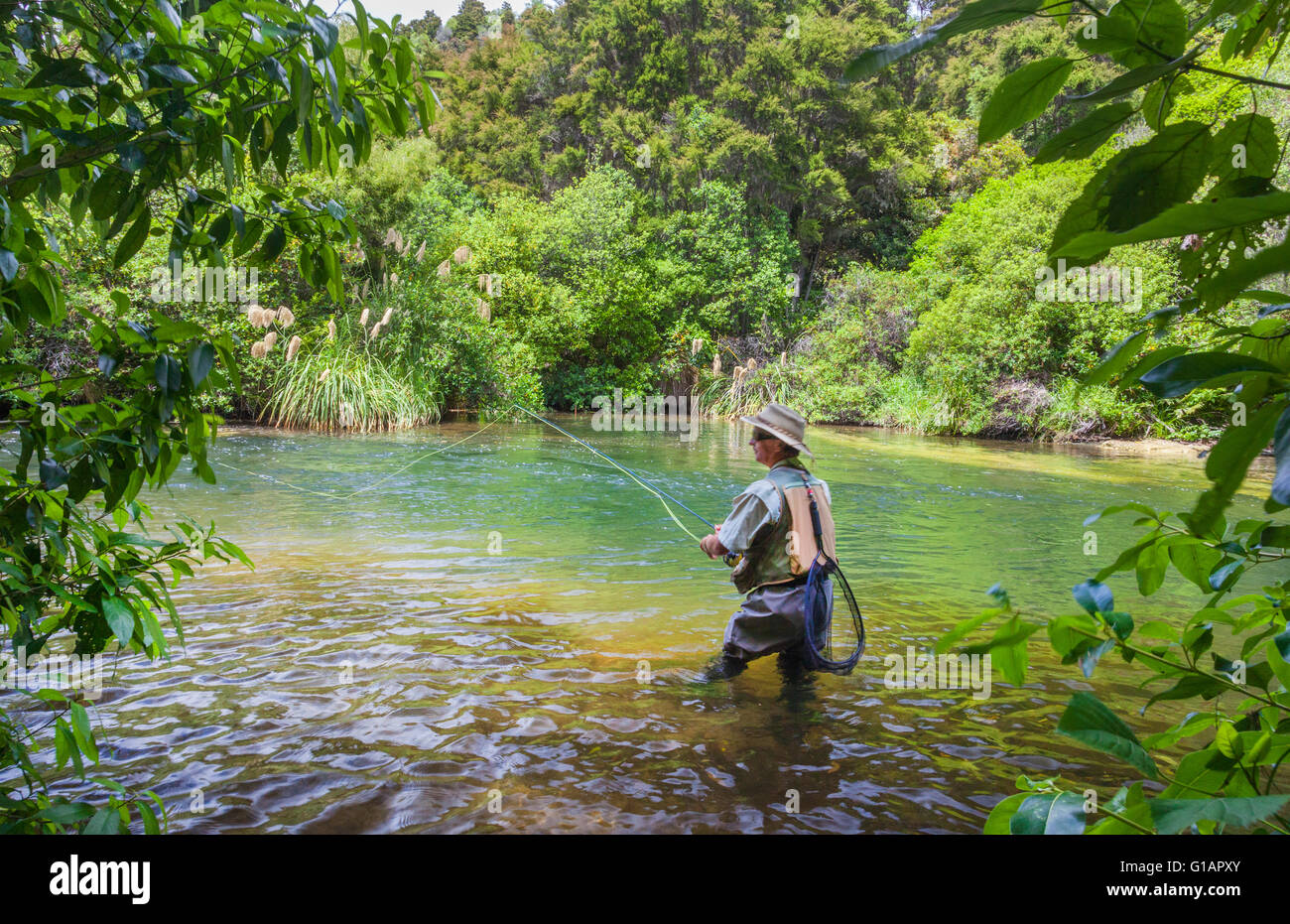 Tourists fly fishing with fishing guide in Lake Taupo area stream in