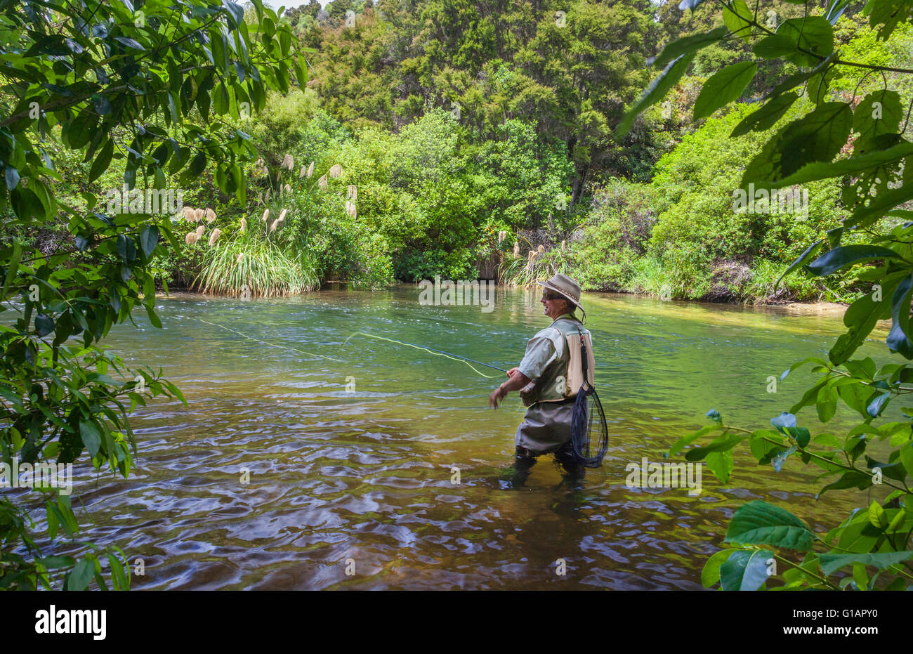 Tourists fly fishing with fishing guide in Lake Taupo area stream in