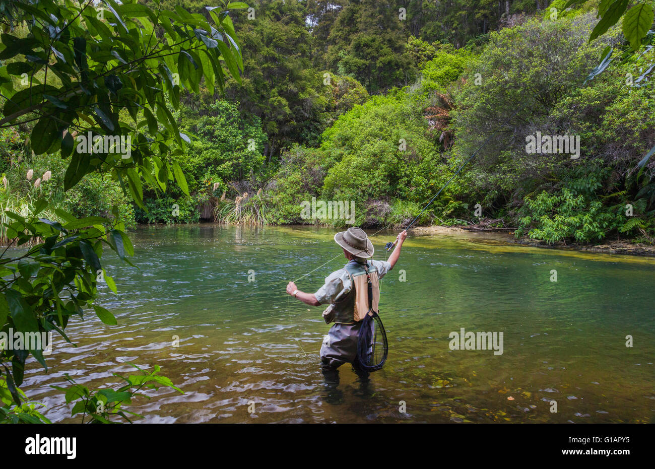 Tourists fly fishing with fishing guide in Lake Taupo area stream in