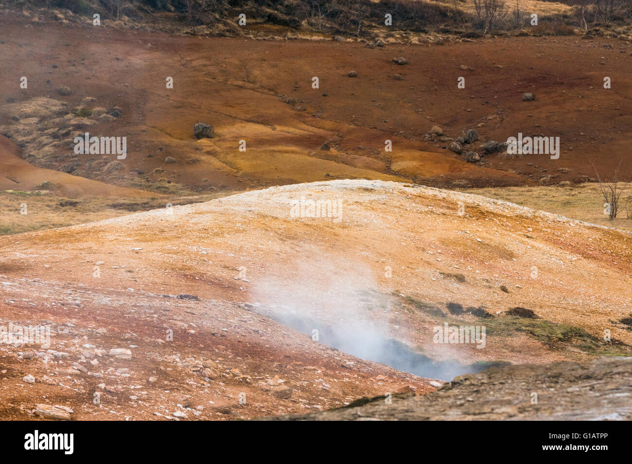 Geothermal activity in icelandic nature with steam coming up from the ground Stock Photo