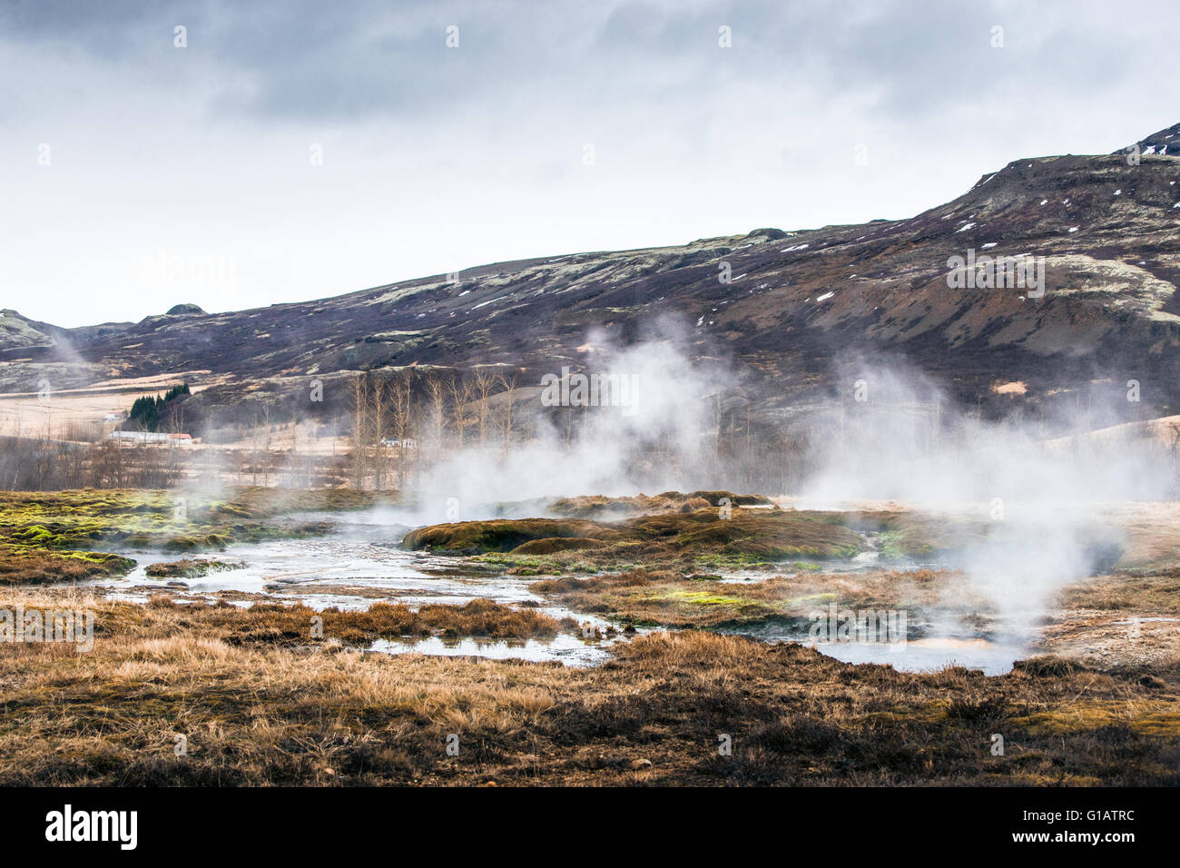 Misty swamp with geothermal activity beneath a mountain in Iceland Stock Photo