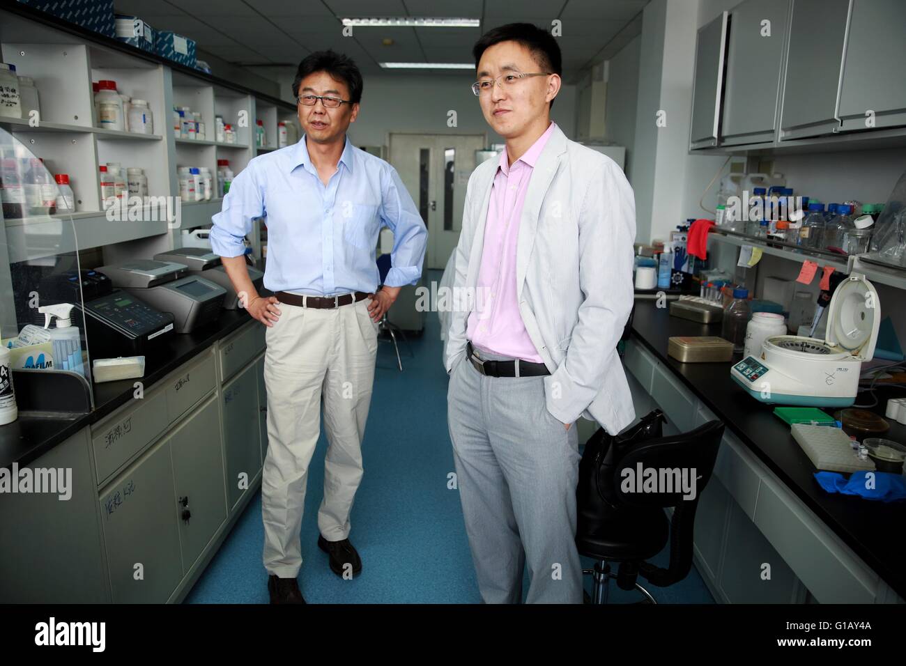 Beijing, China. 11th May, 2016. Xu Zhiheng (L) with the Institute of Genetics and Developmental Biology of the Chinese Academy of Sciences and Qin Chengfeng with the Beijing Institute of Microbiology and Epidemiology introduce their collaborative research to the press in Beijing, capital of China, May 11, 2016. Chinese researchers said Wednesday they have found direct evidence that Zika infection causes microcephaly, a birth defect marked by an abnormally small head, in mouse experiments. © Cai Yang/Xinhua/Alamy Live News Stock Photo