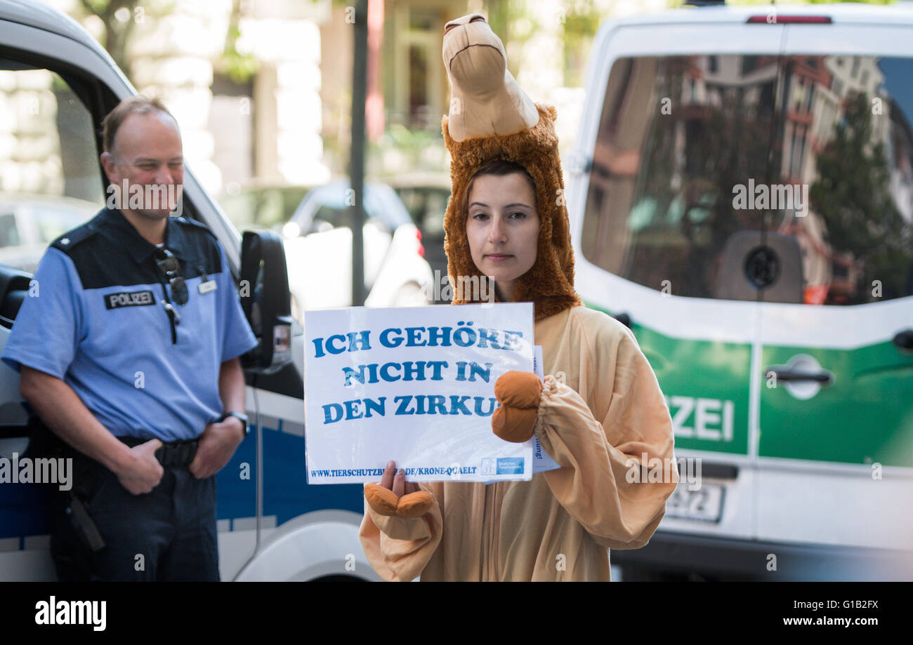 An animal rights activist wearing an animal costume holds up a sign that reads 'I shouldn't be in a circus' in front of a district court in Berlin, Germany, 12 May 2016. The issue at hand involved the question as to whether the statement 'Circus Krone tortures animals' should be considered a permissible expression of opinion or slander. The animal rights activists who used this expression received a court order to pay 600 euros in fines each, according to their own information. Photo: BERND VON JUTRCZENKA/dpa Stock Photo
