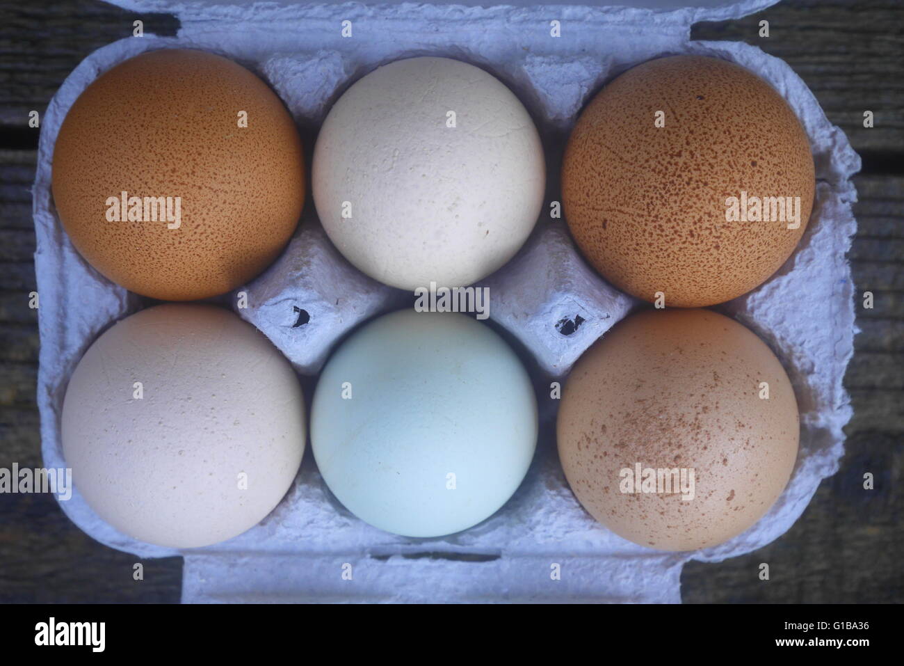 Selection of six organic chicken eggs in a carton Stock Photo