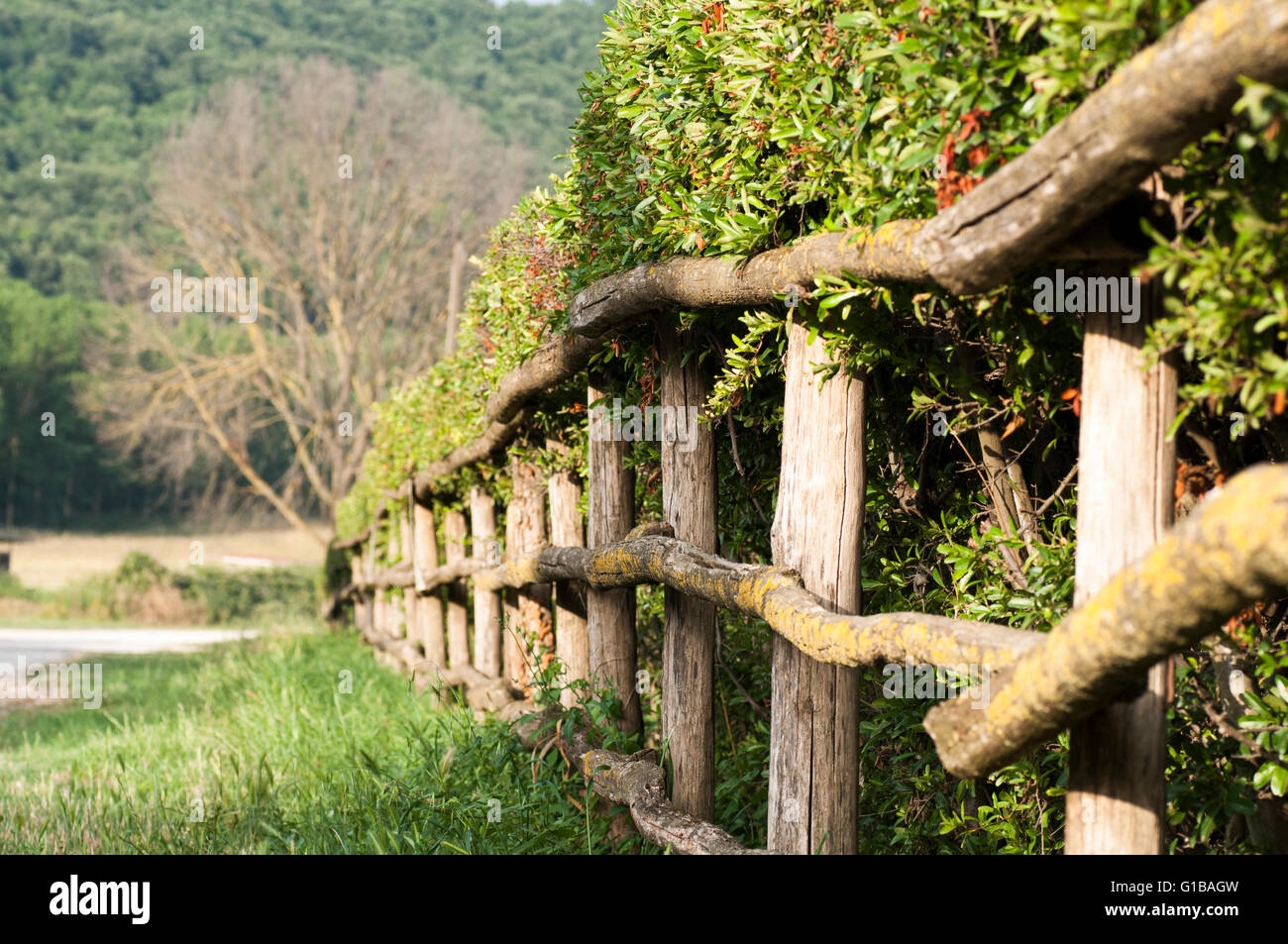 wooden fence with a fence in the countryside Stock Photo - Alamy
