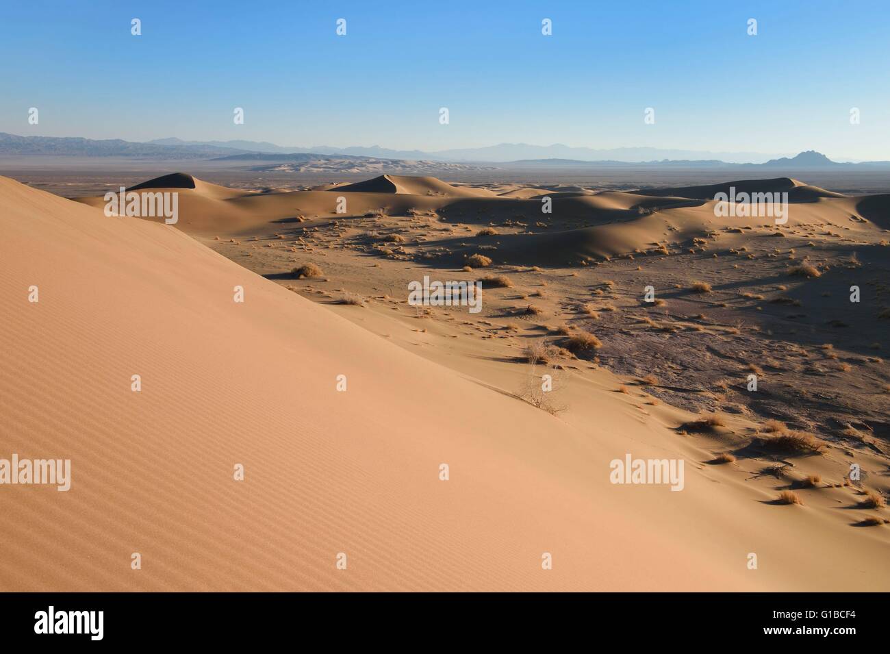 Iran, Yazd province, Dashte Kavir desert, Moghestan, dune system whose