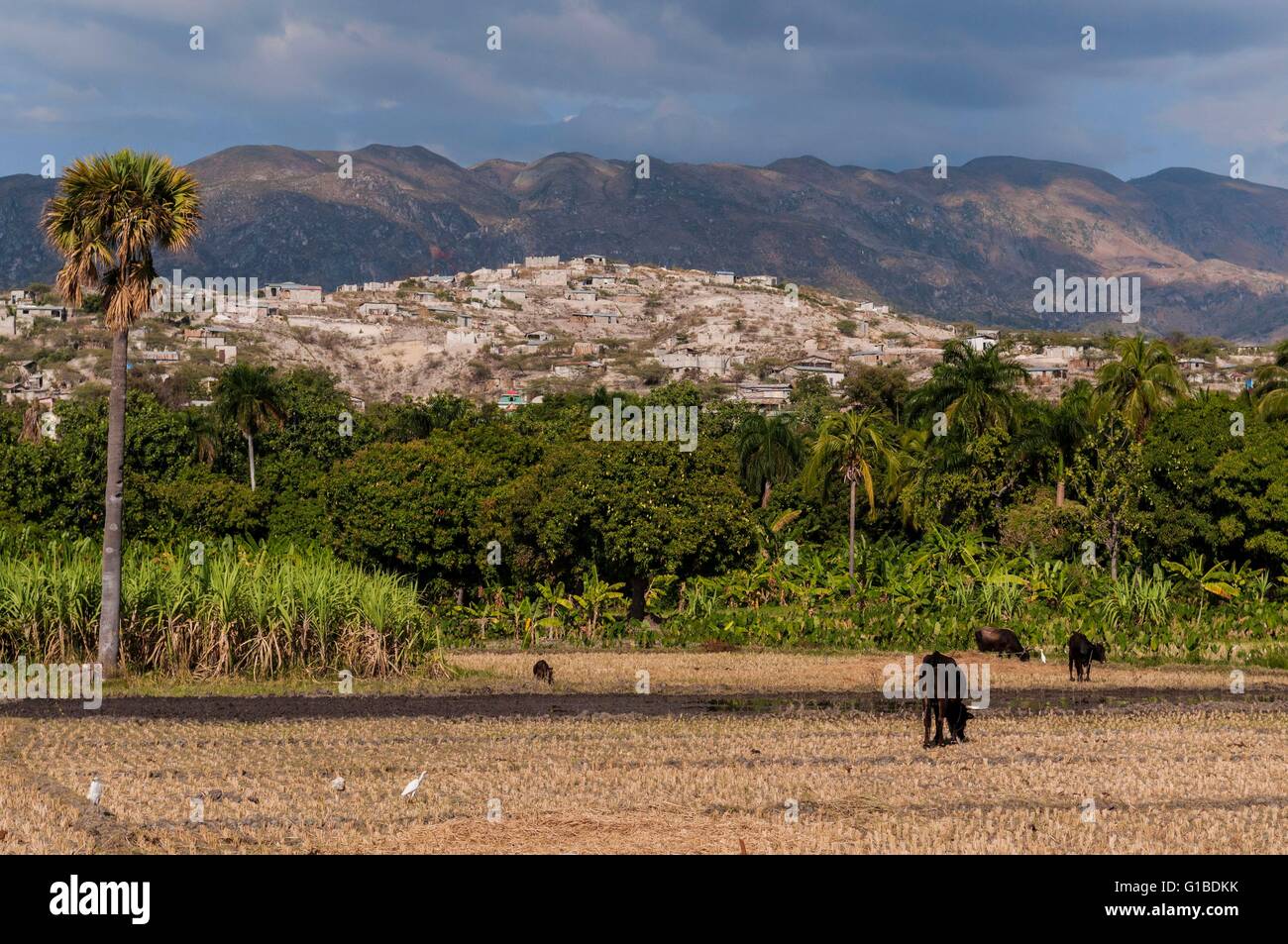 Area of montrouis hires stock photography and images Alamy