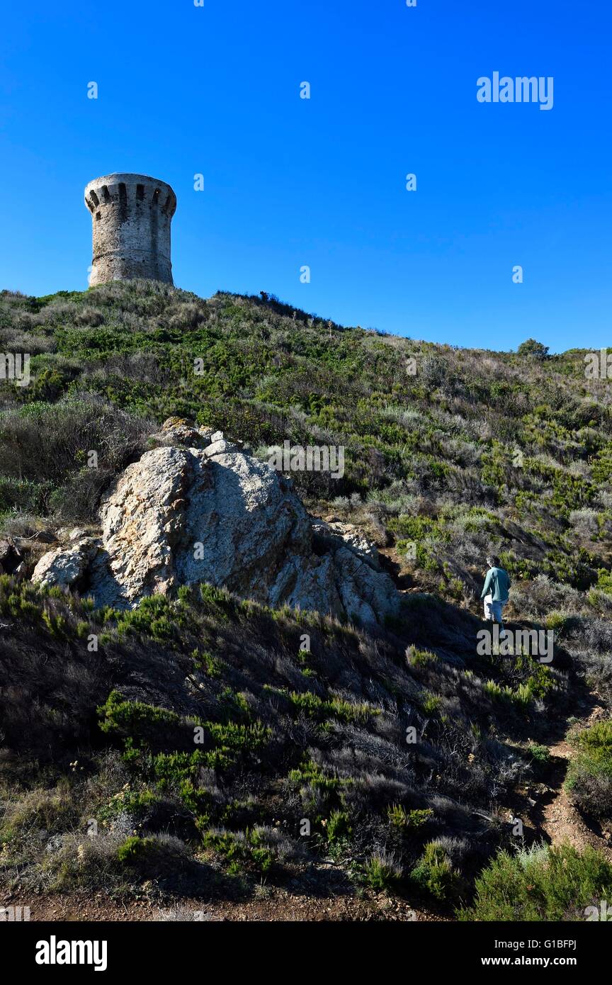 France, Corse du Sud, Zonza, Fautea genoese tower Stock Photo