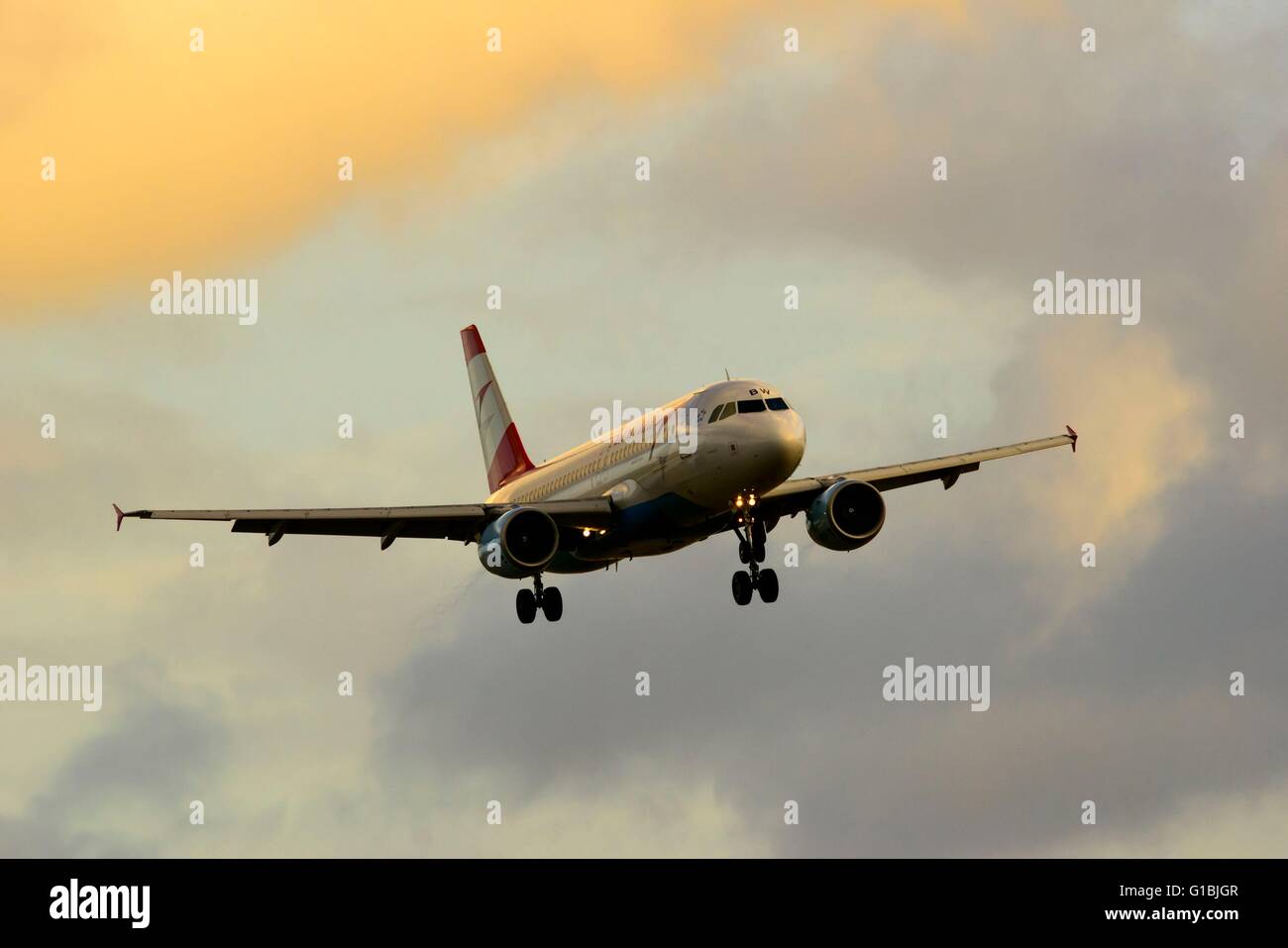 France, Val d'Oise, Roissy en France, Charles-de-Gaulle airport, Austrian Airbus A319 at final approach from Parisian Airport Charles-de-Gaulle, LFPG Stock Photo