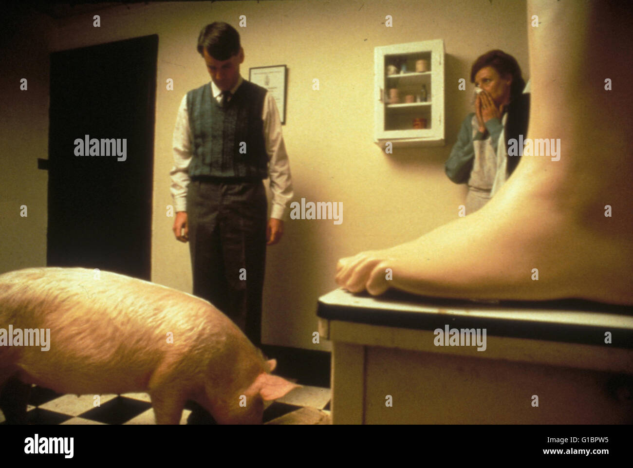 Magere Zeiten - Der Film mit dem Schwein, Stock Photo