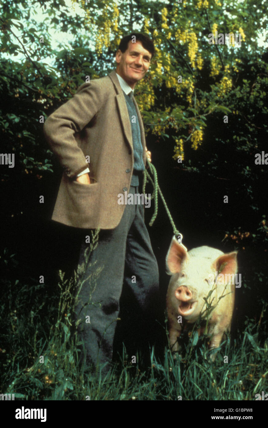 Magere Zeiten - Der Film mit dem Schwein, Stock Photo